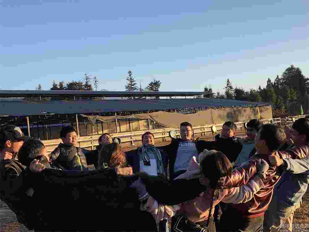 團隊建設(shè)、熔煉凝聚力
